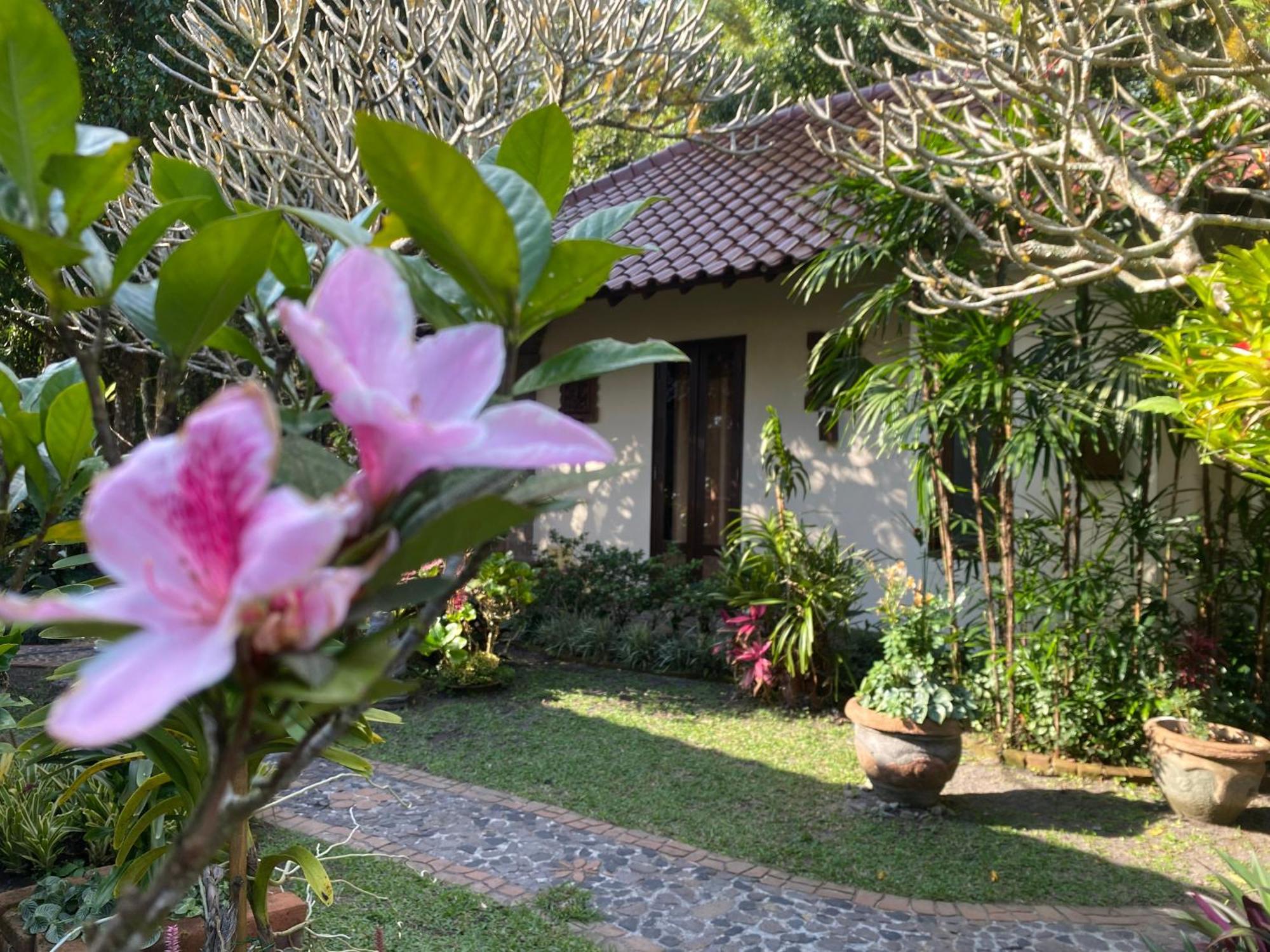 Bali Barn Village Munduk Buitenkant foto